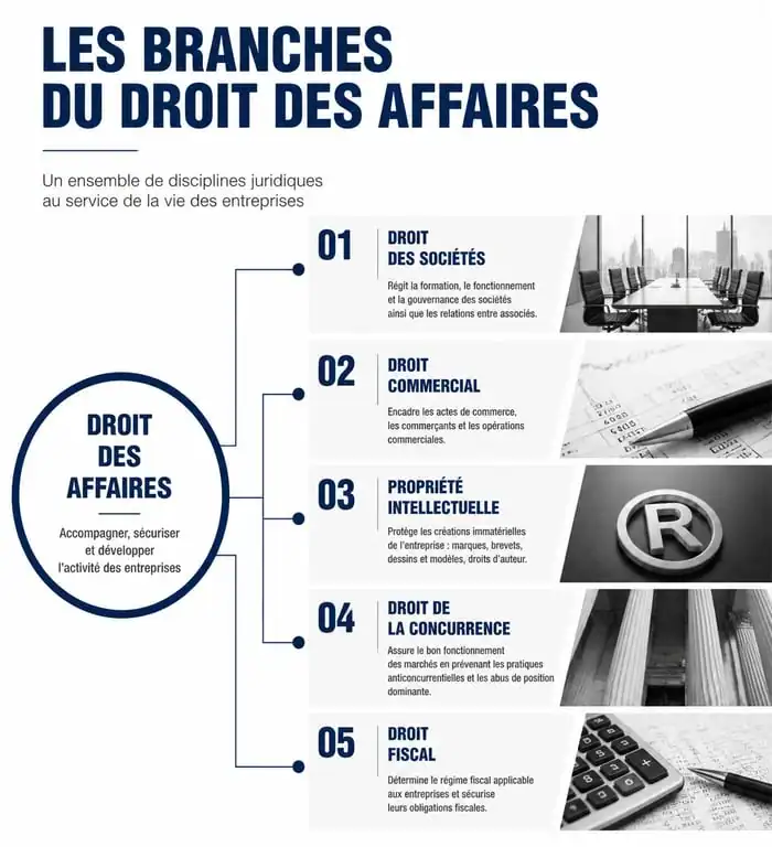 Schéma des branches fondamentales du droit des affaires : sociétés, commercial, propriété intellectuelle et fiscalité.